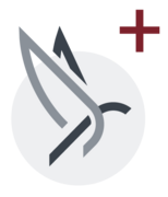 Logo Phoenix 2.x